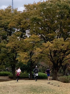 S__55320599.jpg