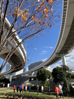 S__55476248.jpg
